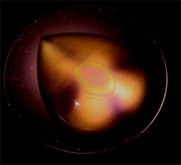 Bulls Eye Figures under polariscope